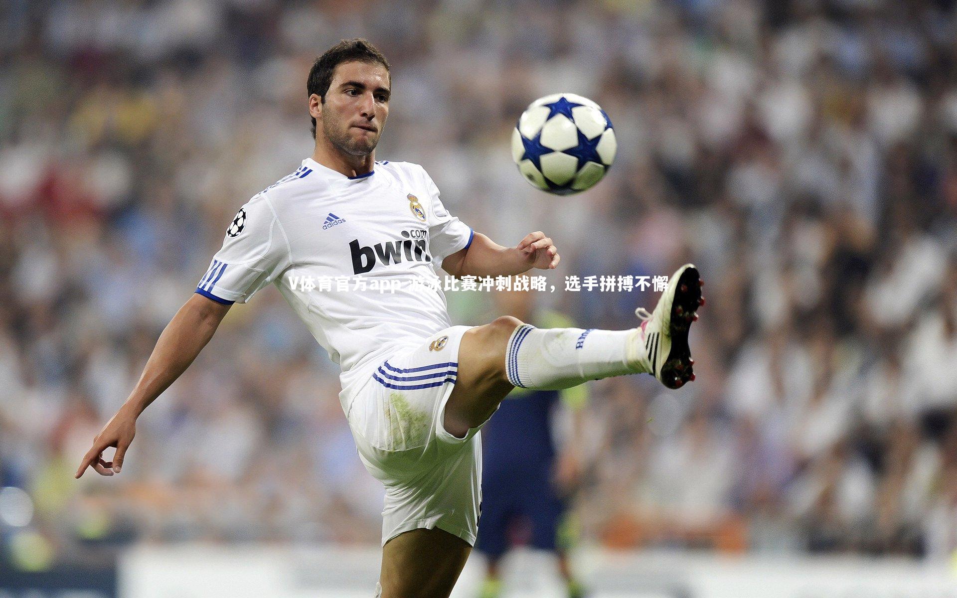 游泳比赛冲刺战略，选手拼搏不懈