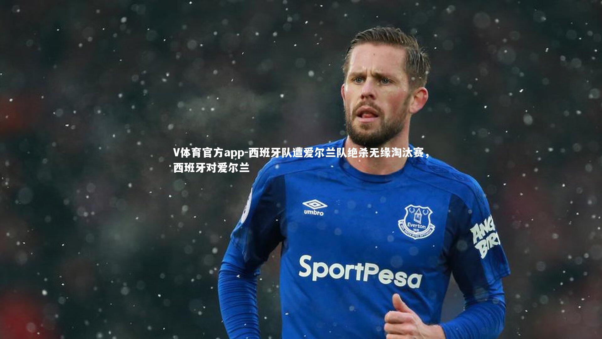 V体育官方app-西班牙队遭爱尔兰队绝杀无缘淘汰赛，西班牙对爱尔兰