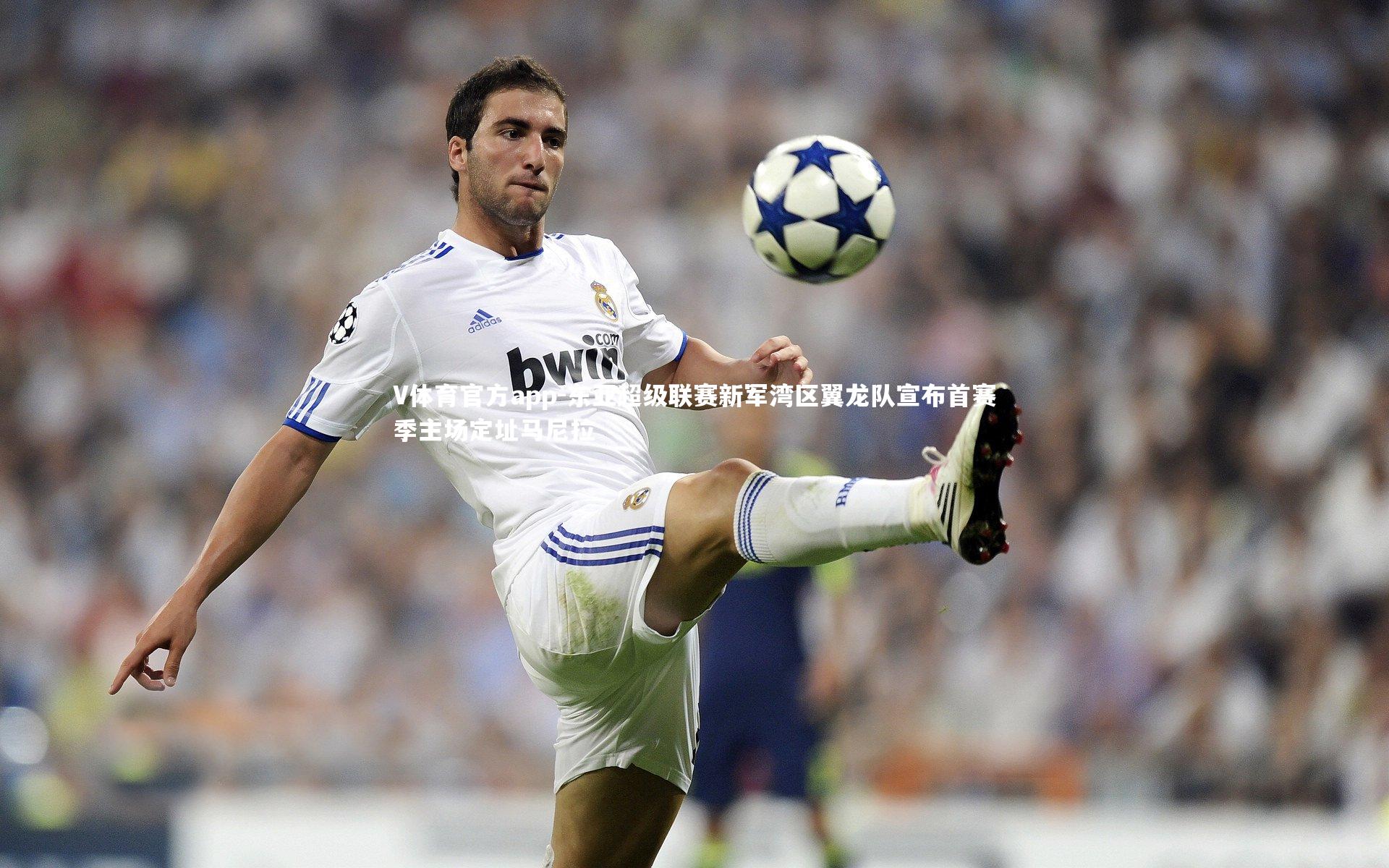 东亚超级联赛新军湾区翼龙队宣布首赛季主场定址马尼拉